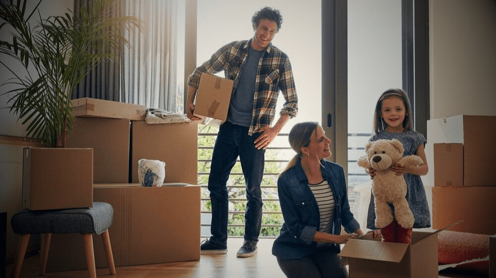 Removals