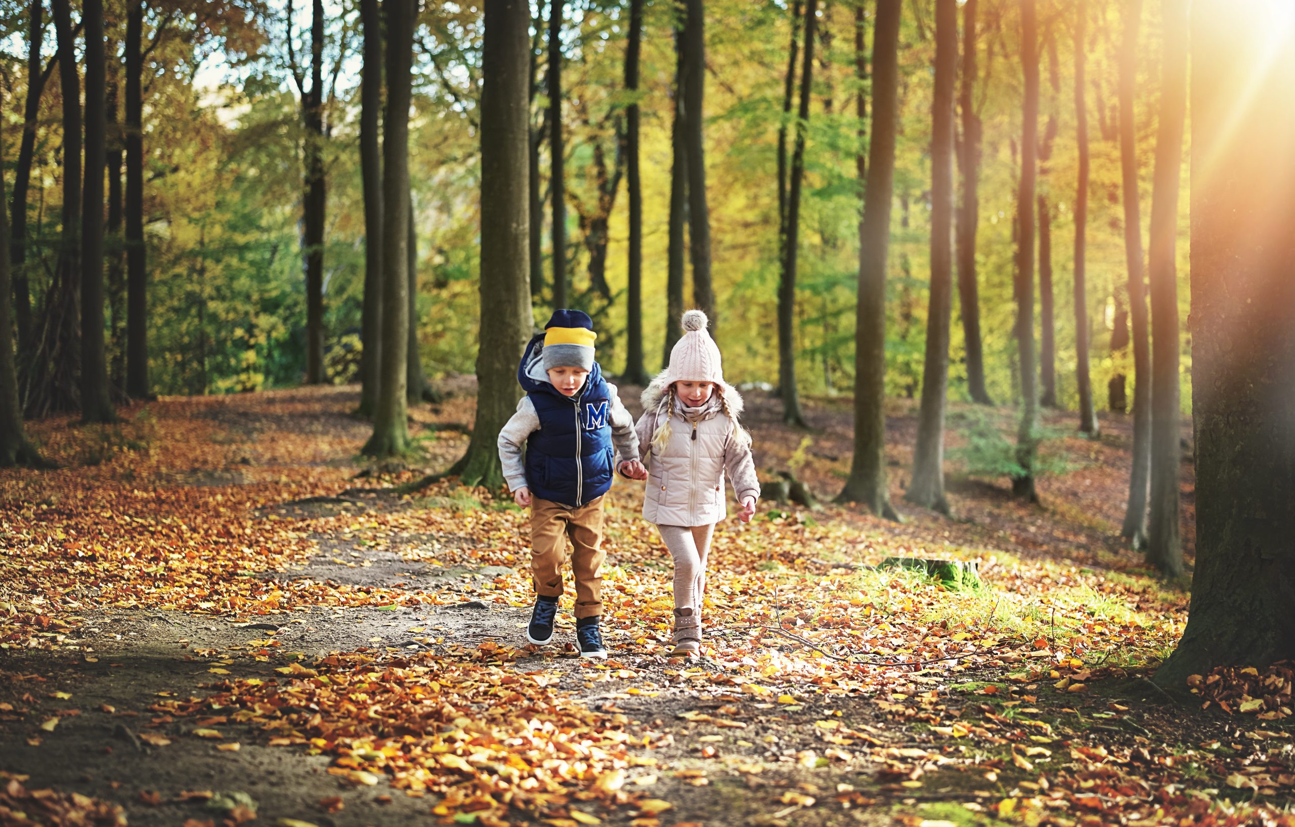 8 of the Best Autumn Walks in Surrey & Hampshire