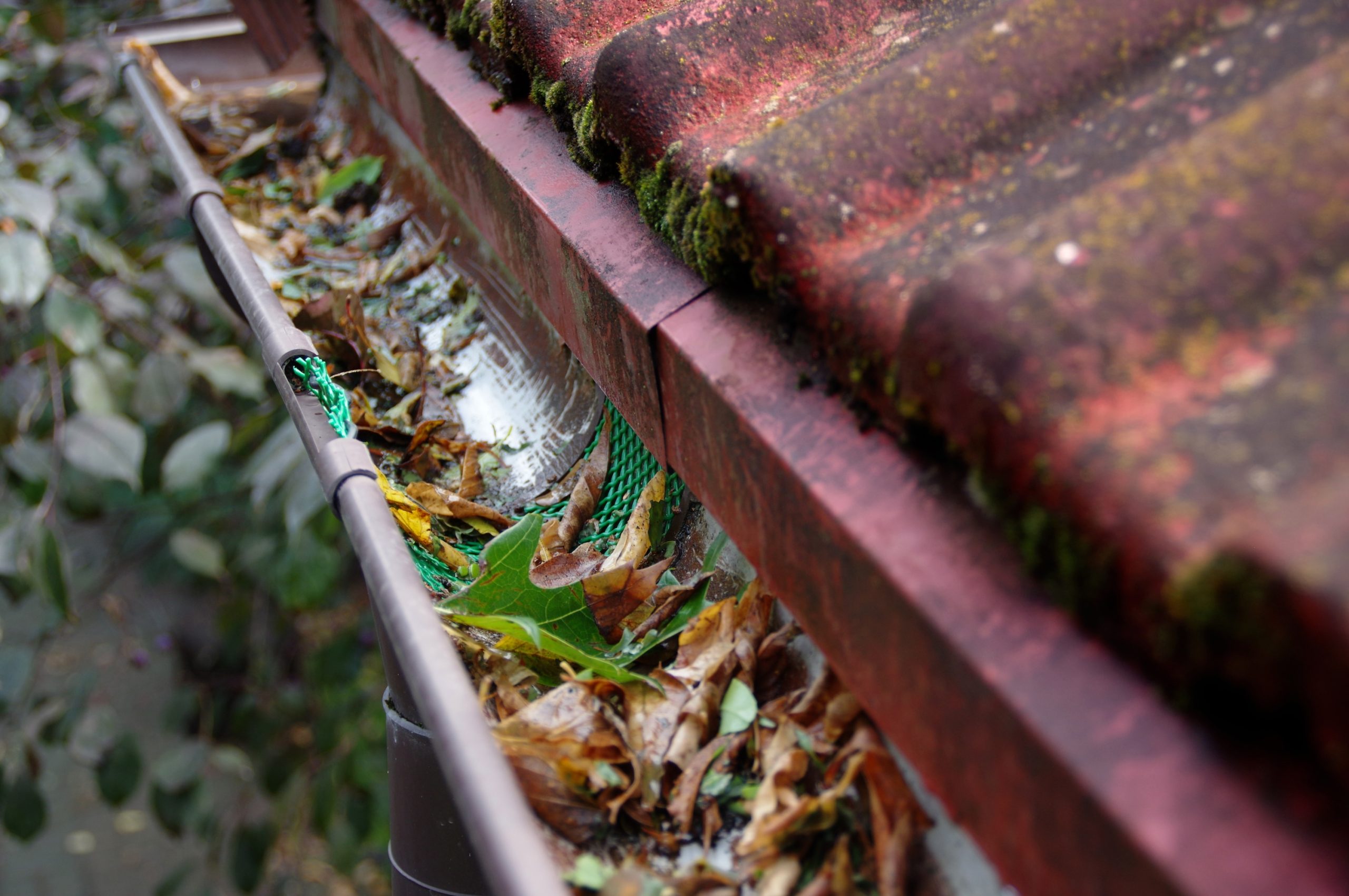 The Autumn Property Checklist: Prepare Your Home for the Season